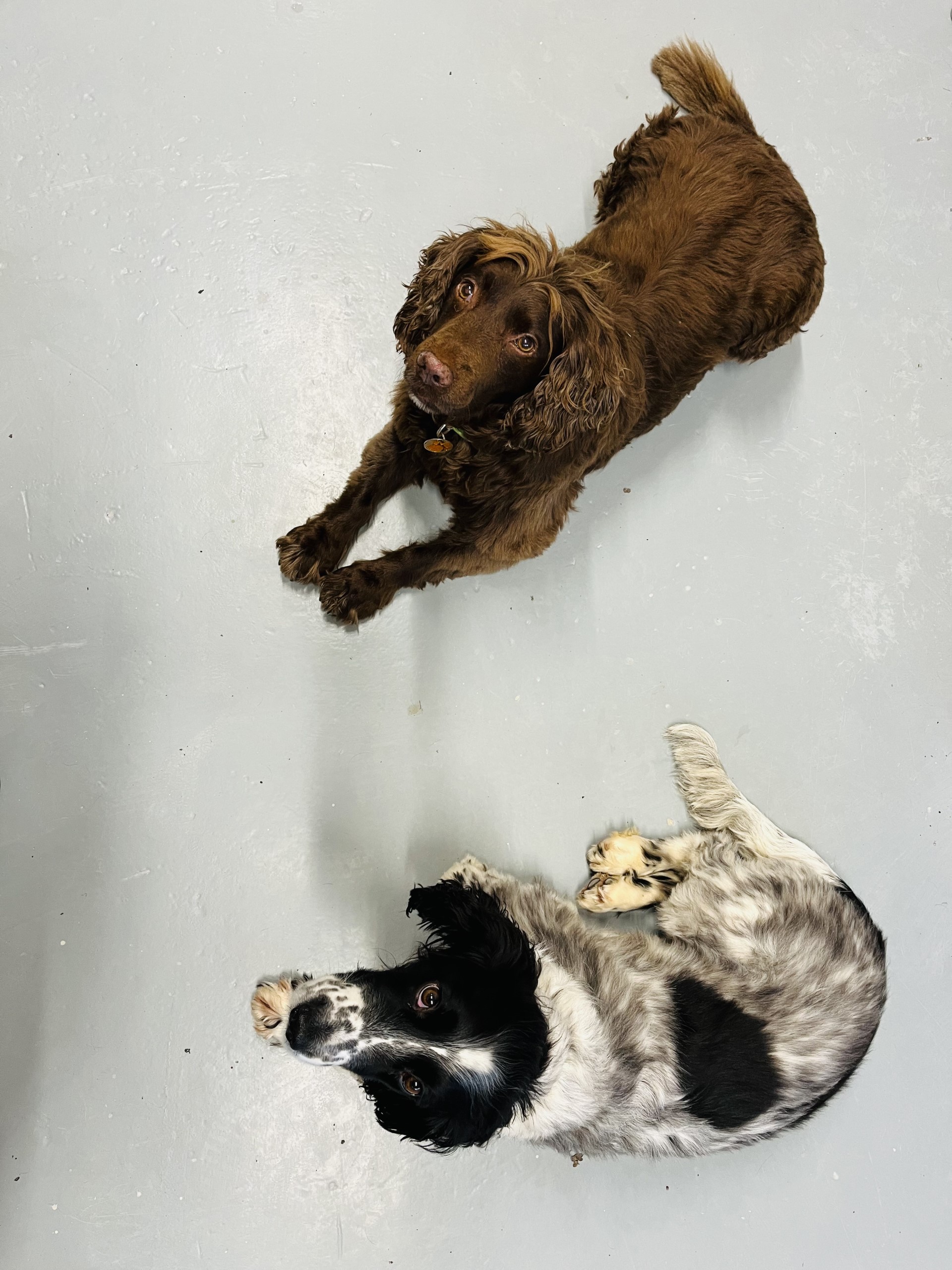 sally and maggie.jpg